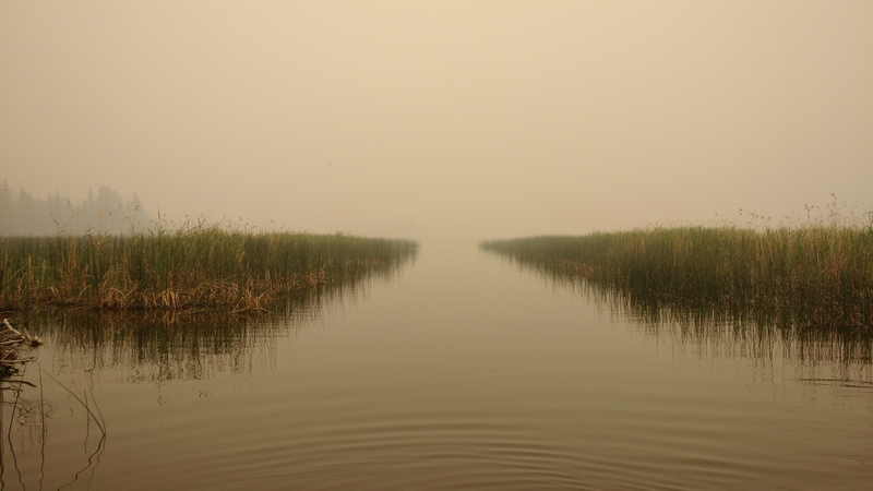 Illustration for article titled How I Saved (One Tiny Island In) Canada From Wildfire